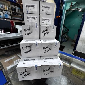 Epson L1800 Head-Genuine